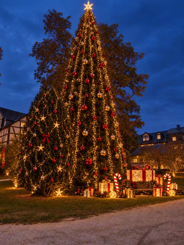 Weihnachtsbaum mit Fotospot
